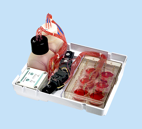 Small-sized; medium can be exchanged automatically and periodically; be suitable for biocytoculture.